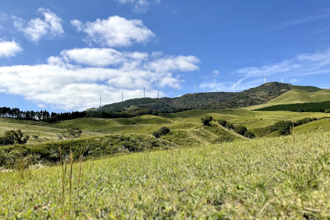 エンゼルグランヴィラ函館 周辺観光画像 04