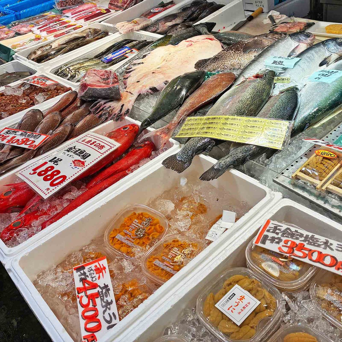エンゼルグランヴィラ函館 はこだて自由市場 鮮魚