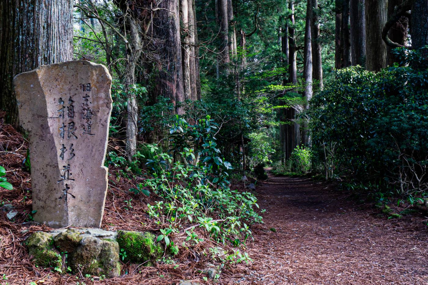 エンゼルグランヴィラ箱根 箱根杉並木