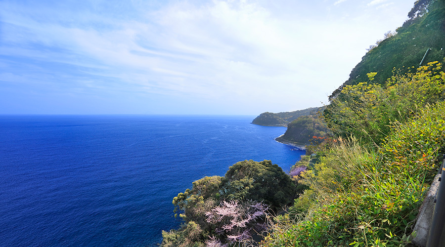 大川汐見崎画像